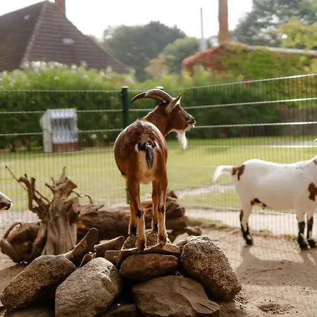 Reethaus 4a * Staberdorf