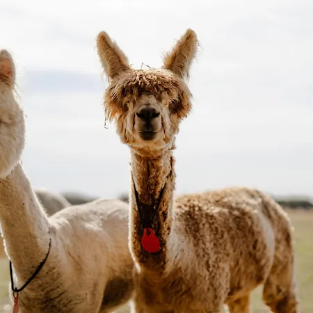 Σπίτι διακοπών Reethaus 4a