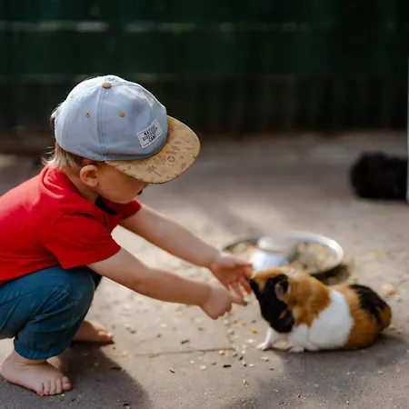 Dom wakacyjny Reethaus 4a *