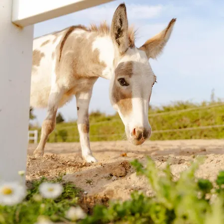 Reethaus 4a Staberdorf