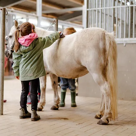 Dom wakacyjny Reethaus 4a