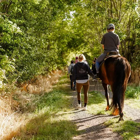 Σπίτι διακοπών Reethaus 4a *