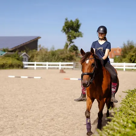 Reethaus 4a Dom wakacyjny Staberdorf