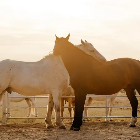 Reethaus 4a * Staberdorf